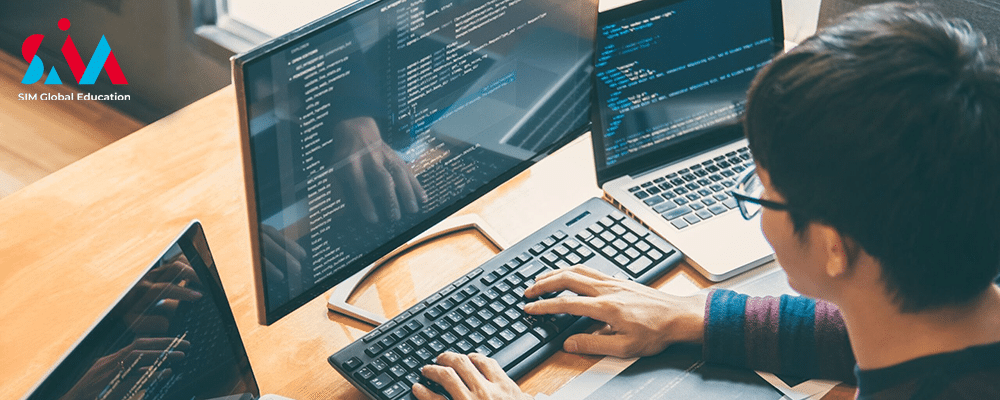 Information Technology Foundation Studies (ITFS) tại SIM