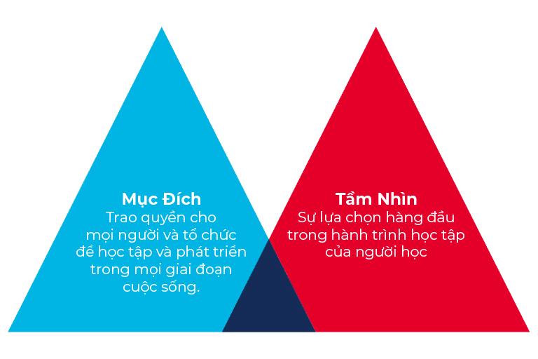 Mục đích và tầm nhìn của SIM